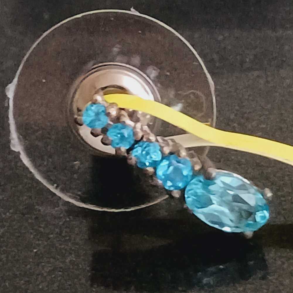 Earrings (5866)